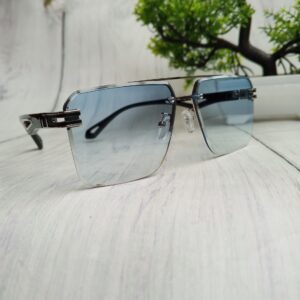 Sunglasses 020