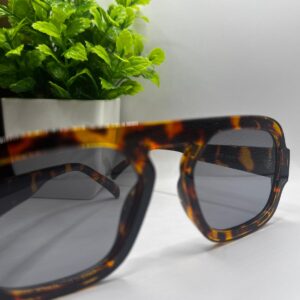 Sunglasses 048